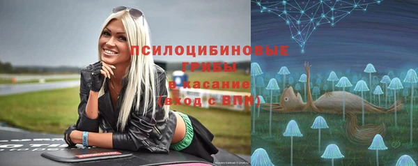 шишки Аркадак
