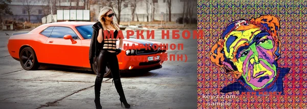 шишки Аркадак