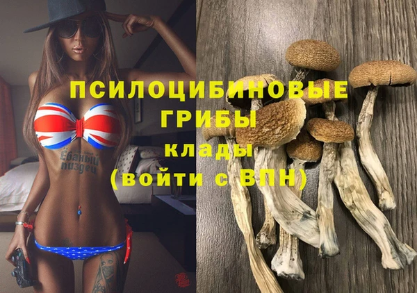 шишки Аркадак