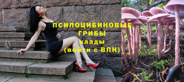 мяу мяу мука Армянск