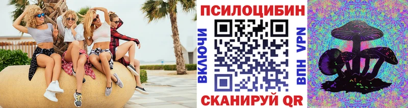 Купить где  Новоалтайск  Галлюциногенные грибы ЛСД 